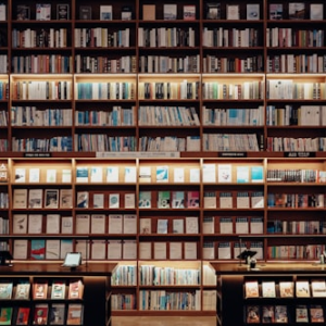 Modern Fiction Novels